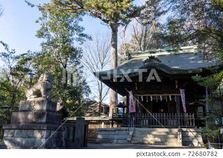 東京都杉並區泉）熊野泉的主要神社和守護犬 72680782