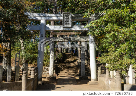 東京都杉並區泉）熊野泉的第一個鳥居 72680783