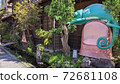 Kawagoe Chameleon 72681108