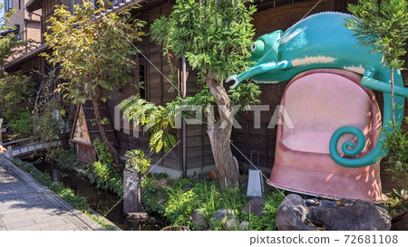 Kawagoe Chameleon Kawagoe Chameleon 72681108