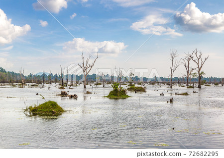 Swamp in Angkor Wat Swamp in Angkor Wat 72682295