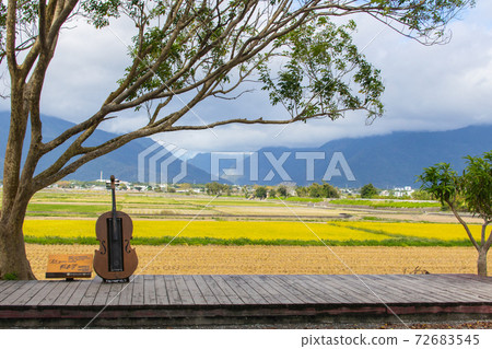 Taitung, Chishang, harvest season, machinery, harvest, rice, cello, wooden plank road Taitung, Chishang, harvest season, machinery, harvest, rice, cello, wooden plank road 72683545