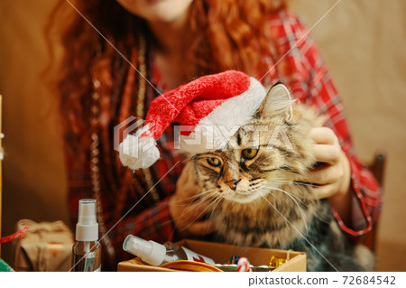 Girl in plaid pajamas holds a fluffy cat in Santa Claus hat. Girl in plaid pajamas holds a fluffy cat in Santa Claus hat. 72684542