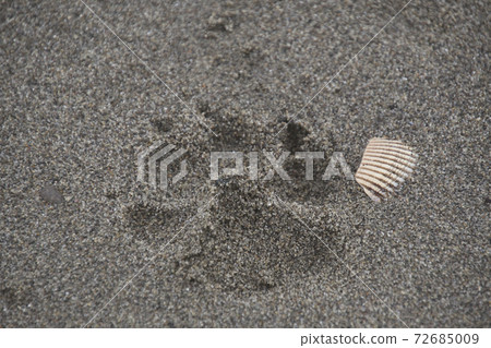 Dog footprints on the beach Vancouver British Columbia Canada 72685009