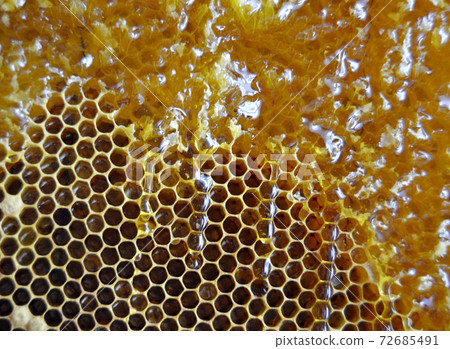 Drop of bee honey drip from hexagonal honeycombs 72685491
