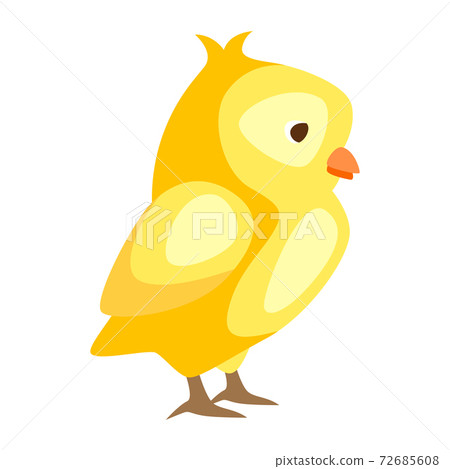 Cute Easter chicken illustration. Cute Easter chicken illustration. 72685608