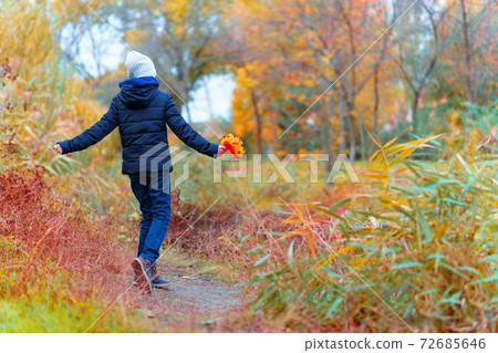 a girl posing near river and enjoys autumn, beautiful nature with yellow leaves a girl posing near river and enjoys autumn, beautiful nature with yellow leaves 72685646