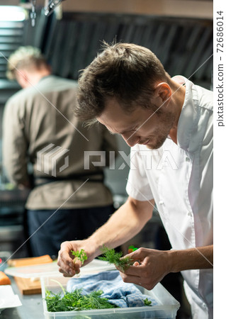 Young professional male chef bending over plastic container with fresh greenery Young professional male chef bending over plastic container with fresh greenery 72686014