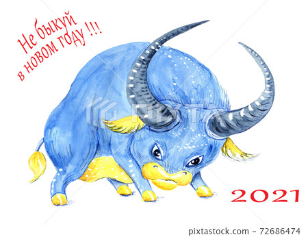 The symbol of the coming 2021 - the blue bull The symbol of the coming 2021 - the blue bull 72686474