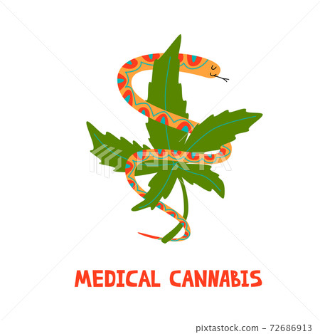 Snake with marijuana. Logo for medical cannabies Snake with marijuana. Logo for medical cannabies 72686913