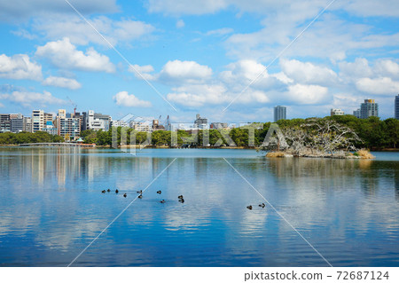 Ohori Park 72687124