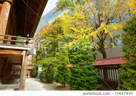 銀杏樹Kego神社 72687454