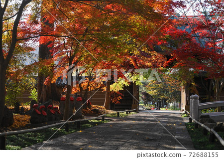 December Setagaya 542 Main Gate and Maple Autumn Leaves, Joshinji Temple (Jōshinji Temple) 72688155