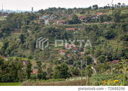 Vegetable fields in the highlands of Java, Indonesia 72688206