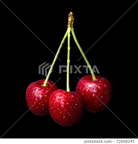 Fresh ripe cherries with water drops isolated on black background 72688245