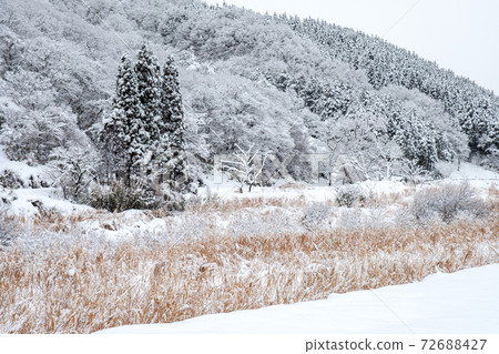 Satoyama snow scene (Hiruzen Highlands) 72688427