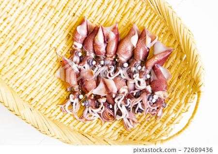 煮螢火蟲魷魚 72689436
