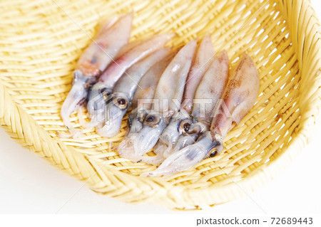 Raw firefly squid Raw firefly squid 72689443