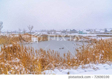 Snowy shore of a lake and homes in Daybreak Utah 72690100