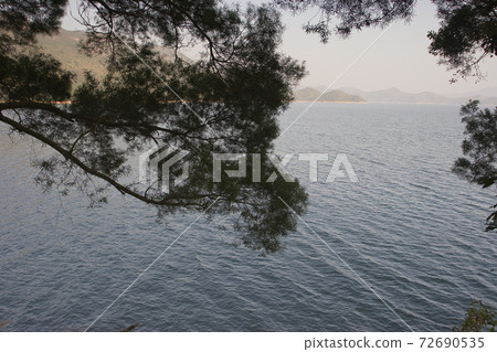 1 Jan 2006 the landscape of Plover Cove Country Park 72690535