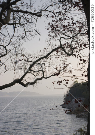 1 Jan 2006 the landscape of Plover Cove Country Park 1 Jan 2006 the landscape of Plover Cove Country Park 72690539