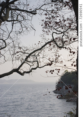 1 Jan 2006 the landscape of Plover Cove Country Park 1 Jan 2006 the landscape of Plover Cove Country Park 72690541