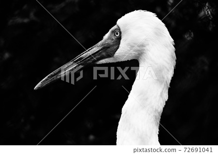 Sodogro起重機 72691041