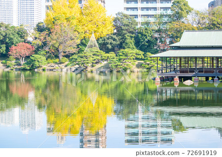 東京都江東區清澄庭園,大噴泉,中之島及亭閣,秋景,都指定風景名勝 東京都江東區清澄庭園,大噴泉,中之島及亭閣,秋景,都指定風景名勝 72691919