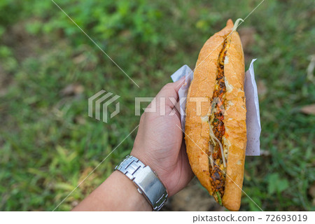 Human hand holding Banh Mi- Vietnamese sandwich Human hand holding Banh Mi- Vietnamese sandwich 72693019