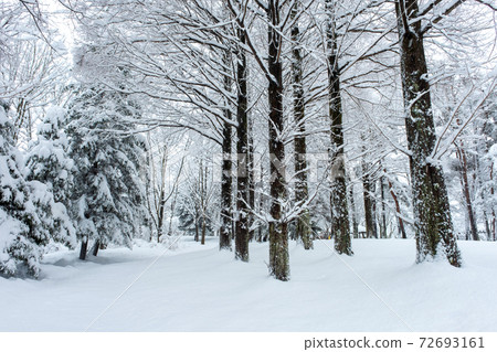 Satoyama snow scene (Hiruzen Highlands) Satoyama snow scene (Hiruzen Highlands) 72693161