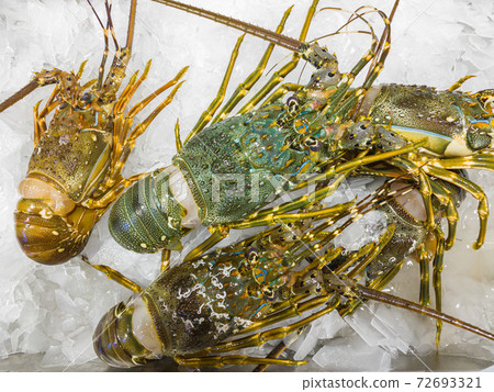 Fresh frozen lobster for sale on ice at supermarket Fresh frozen lobster for sale on ice at supermarket 72693321