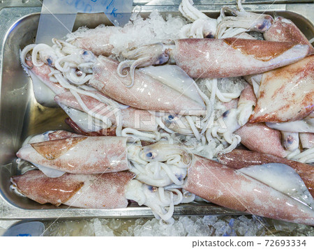 Frozen fresh squid on ice selling at the seafood market Frozen fresh squid on ice selling at the seafood market 72693334