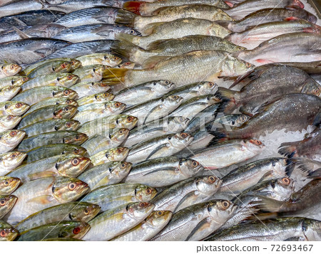 Assortment of fish frozen on ice at seafood market 72693467
