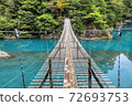 Suspension bridge of a dream 72693753