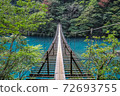 Suspension bridge of a dream 72693755