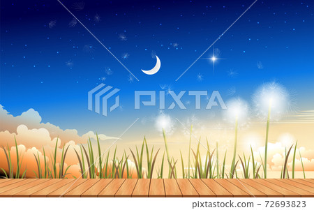 dandelion, blowball, fluffy 72693823