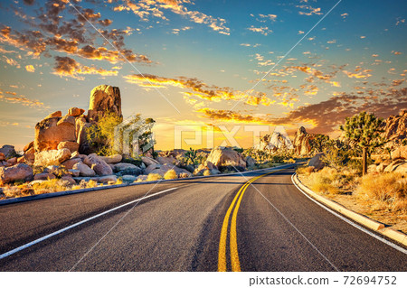 Highway in Joshua Tree National Park Highway in Joshua Tree National Park 72694752