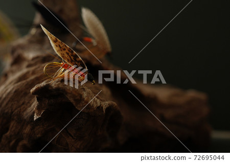 Wet fly for fly fishing 72695044