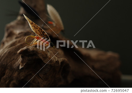 Wet fly for fly fishing Wet fly for fly fishing 72695047