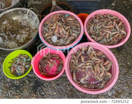 Uncooked shrimps or prawn for sale at outdoor Uncooked shrimps or prawn for sale at outdoor 72695252