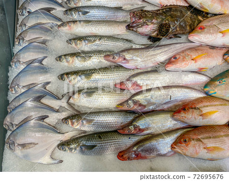 Fish good arrangement frozen on ice at seafood Fish good arrangement frozen on ice at seafood 72695676