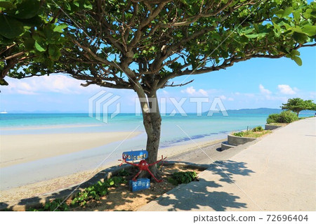 沖繩海2020 沖繩海2020 72696404