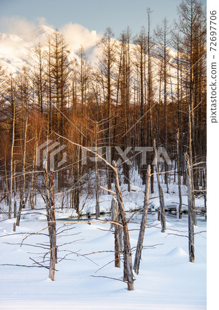 冰雪覆蓋的藍色池塘 冰雪覆蓋的藍色池塘 72697706