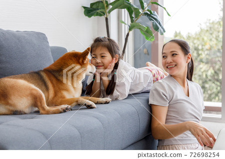 Asian mother and daughter looking at Shiba Inu lying on sofa in living room. Concept family with dog at home. Asian mother and daughter looking at Shiba Inu lying on sofa in living room. Concept family with dog at home. 72698254