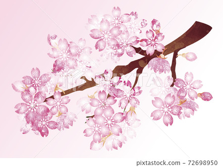 春天櫻花櫻花花手繪水彩背景插圖素材 72698950