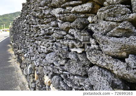 Amami Oshima coral stone wall 72699163