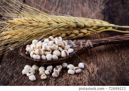 Millet in wood spoon on wooden Millet in wood spoon on wooden 72699221