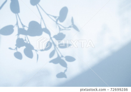 Blue shadow landscape Blue shadow landscape 72699286