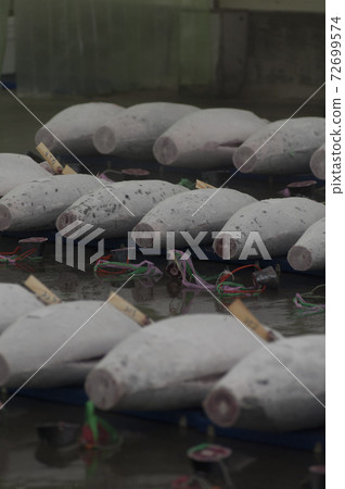 金槍魚 金槍魚 72699574