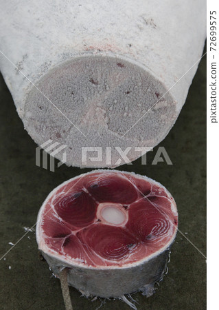 金槍魚 金槍魚 72699575